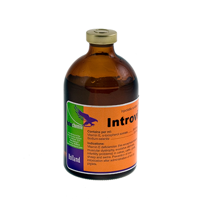 INTROVIT E SELENIUM 100ML Vitamina E-caprini, ovini, bovini